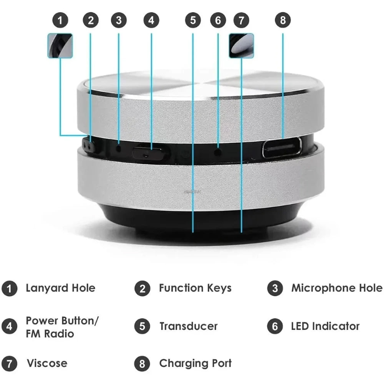 PocketPulse Speaker
